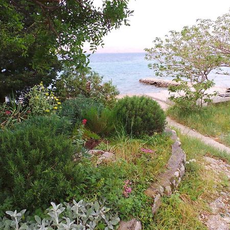 Apartmani Vjera Ribarica Bagian luar foto